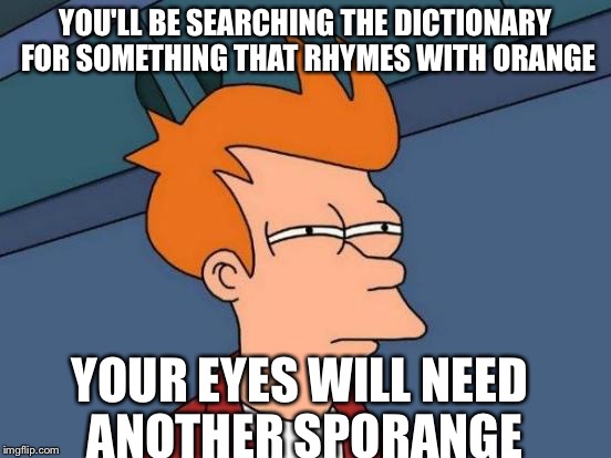 YOU'LL BE SEARCHING THE DICTIONARY FOR SOMETHING THAT RHYMES WITH ORANGE YOUR EYES WILL NEED ANOTHER SPORANGE | image tagged in memes,futurama fry | made w/ Imgflip meme maker