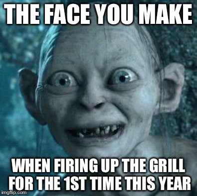 Gollum | THE FACE YOU MAKE; WHEN FIRING UP THE GRILL FOR THE 1ST TIME THIS YEAR | image tagged in memes,gollum | made w/ Imgflip meme maker
