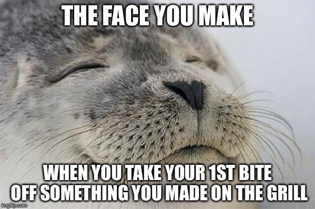 Satisfied Seal | THE FACE YOU MAKE; WHEN YOU TAKE YOUR 1ST BITE OFF SOMETHING YOU MADE ON THE GRILL | image tagged in memes,satisfied seal | made w/ Imgflip meme maker
