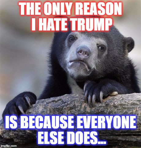 This is what every one is too afraid to say. | THE ONLY REASON I HATE TRUMP; IS BECAUSE EVERYONE ELSE DOES... | image tagged in memes,confession bear,donald trump,trump gona hate | made w/ Imgflip meme maker