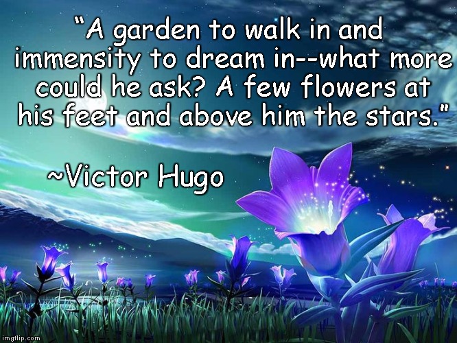 Flowers Under Stars | “A garden to walk in and immensity to dream in--what more could he ask? A few flowers at his feet and above him the stars.”; ~Victor Hugo | image tagged in victor hugo,garden,dreams,nature,imagination,inspiration | made w/ Imgflip meme maker