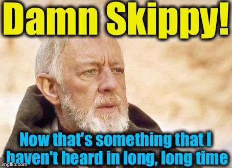 Obi Wan Kenobi | Damn Skippy! Now that's something that I haven't heard in long, long time | image tagged in memes,obi wan kenobi,evilmandoevil,funny | made w/ Imgflip meme maker