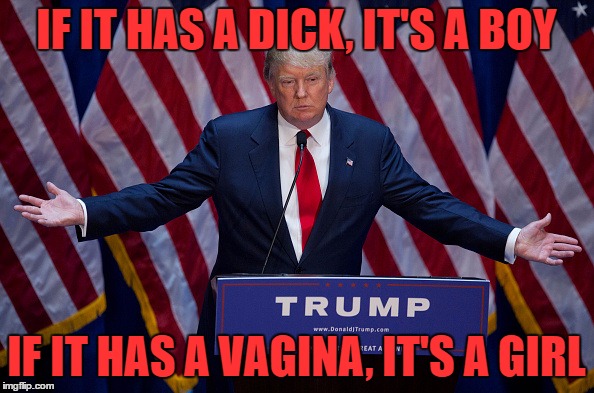 Trump Bruh | IF IT HAS A DICK, IT'S A BOY IF IT HAS A VA**NA, IT'S A GIRL | image tagged in trump bruh | made w/ Imgflip meme maker