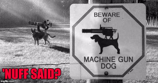 Now THAT'S a guard dog!!! | 'NUFF SAID? | image tagged in machine gun dog,memes,dogs,funny,animals,minigun | made w/ Imgflip meme maker