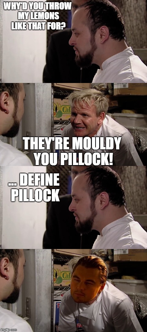 They're Mouldy You Pillock! | WHY'D YOU THROW MY LEMONS LIKE THAT FOR? THEY'RE MOULDY YOU PILLOCK! ... DEFINE PILLOCK | image tagged in chef gordon ramsay,pillock,define,seriously,leonardo dicaprio,squint | made w/ Imgflip meme maker