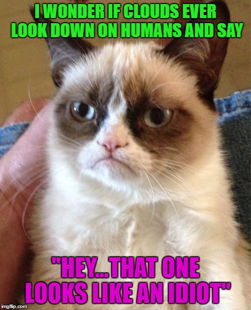 Grumpy Cat...The Philosopher ...   Philosopher Week - A NemoNeem1221 Event - May 15-21 | I WONDER IF CLOUDS EVER LOOK DOWN ON HUMANS AND SAY; "HEY...THAT ONE LOOKS LIKE AN IDIOT" | image tagged in memes,grumpy cat,cats,funny,animals,philosopher week | made w/ Imgflip meme maker