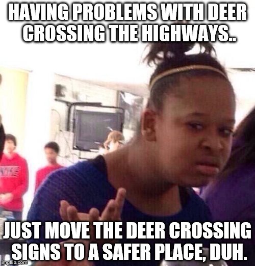 I have an Idea | HAVING PROBLEMS WITH DEER CROSSING THE HIGHWAYS.. JUST MOVE THE DEER CROSSING SIGNS TO A SAFER PLACE, DUH. | image tagged in memes,black girl wat,special kind of stupid,knowledge | made w/ Imgflip meme maker