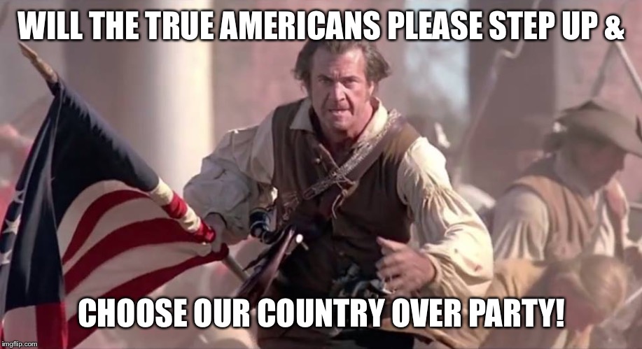The Patriot | WILL THE TRUE AMERICANS PLEASE STEP UP &; CHOOSE OUR COUNTRY OVER PARTY! | image tagged in the patriot,patriotic,true american,country over party,impeach trump,donald trump | made w/ Imgflip meme maker