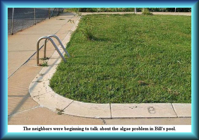 Summer time pool maintenance: You gotta be on top of it every second  | THE NEIGHBORS WERE BEGINNING TO TALK ABOUT THE ALGAE PROBLEM IN BILL'S POOL. | image tagged in summer,swimming pool,algae problem,memes,punography | made w/ Imgflip meme maker