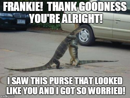 FRANKIE!  THANK GOODNESS YOU'RE ALRIGHT! I SAW THIS PURSE THAT LOOKED LIKE YOU AND I GOT SO WORRIED! | image tagged in memes | made w/ Imgflip meme maker
