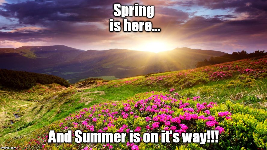 As seasons change | Spring is here... And Summer is on it's way!!! | image tagged in field of flowers,memes,seasons,spring,summer,good times | made w/ Imgflip meme maker