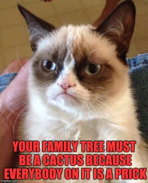 Grumpy Cat | YOUR FAMILY TREE MUST BE A CACTUS BECAUSE EVERYBODY ON IT IS A PRICK | image tagged in memes,grumpy cat | made w/ Imgflip meme maker