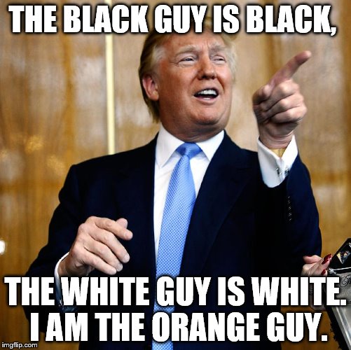 Donald Trump | THE BLACK GUY IS BLACK, THE WHITE GUY IS WHITE. I AM THE ORANGE GUY. | image tagged in donald trump | made w/ Imgflip meme maker