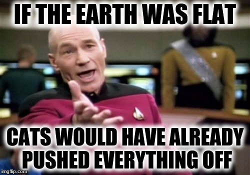 Picard Wtf | IF THE EARTH WAS FLAT; CATS WOULD HAVE ALREADY PUSHED EVERYTHING OFF | image tagged in memes,picard wtf | made w/ Imgflip meme maker