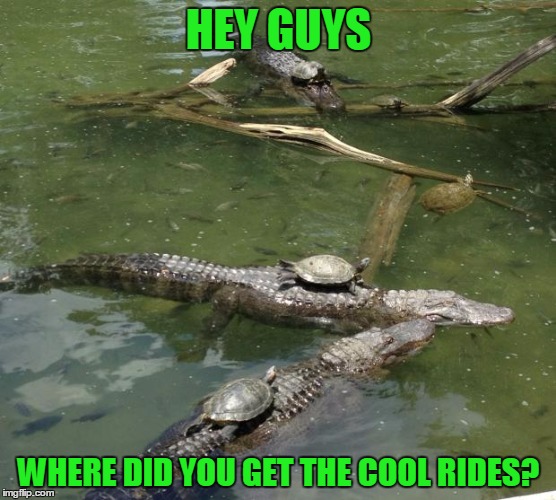 As usual, Carl was the last to join the latest fad | HEY GUYS; WHERE DID YOU GET THE COOL RIDES? | image tagged in stupid humor,i like turtles,silence water horse! | made w/ Imgflip meme maker