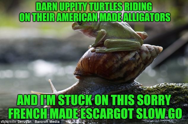 DARN UPPITY TURTLES RIDING ON THEIR AMERICAN MADE ALLIGATORS AND I'M STUCK ON THIS SORRY FRENCH MADE ESCARGOT SLOW GO | made w/ Imgflip meme maker