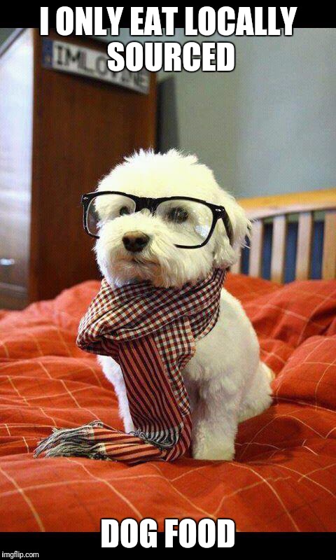 Hipster Dog | I ONLY EAT LOCALLY SOURCED; DOG FOOD | image tagged in memes,intelligent dog,hipster | made w/ Imgflip meme maker