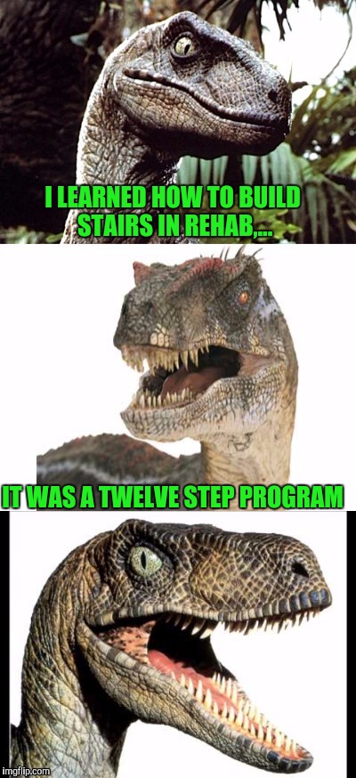 Bad Pun Velociraptor | I LEARNED HOW TO BUILD STAIRS IN REHAB,... IT WAS A TWELVE STEP PROGRAM | image tagged in bad pun velociraptor | made w/ Imgflip meme maker