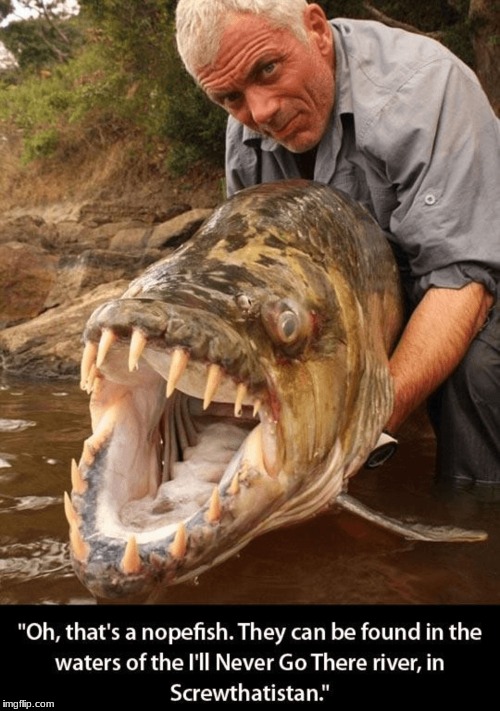 Meet the Nope fish | . | image tagged in animal planet,jeremy wade,nope,river monsters | made w/ Imgflip meme maker