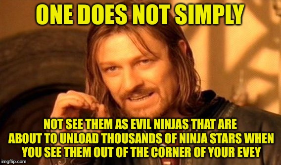 One Does Not Simply Meme | ONE DOES NOT SIMPLY NOT SEE THEM AS EVIL NINJAS THAT ARE ABOUT TO UNLOAD THOUSANDS OF NINJA STARS WHEN YOU SEE THEM OUT OF THE CORNER OF YOU | image tagged in memes,one does not simply | made w/ Imgflip meme maker