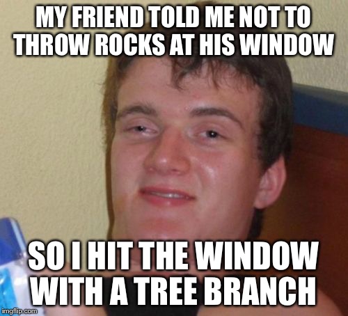 Tree Branch vs. Window  | MY FRIEND TOLD ME NOT TO THROW ROCKS AT HIS WINDOW; SO I HIT THE WINDOW WITH A TREE BRANCH | image tagged in memes,10 guy,windows,rocks,tree | made w/ Imgflip meme maker