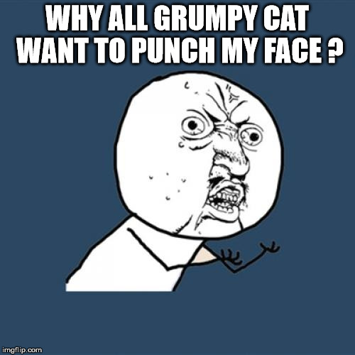 WHY ALL GRUMPY CAT WANT TO PUNCH MY FACE ? | image tagged in memes,y u no | made w/ Imgflip meme maker