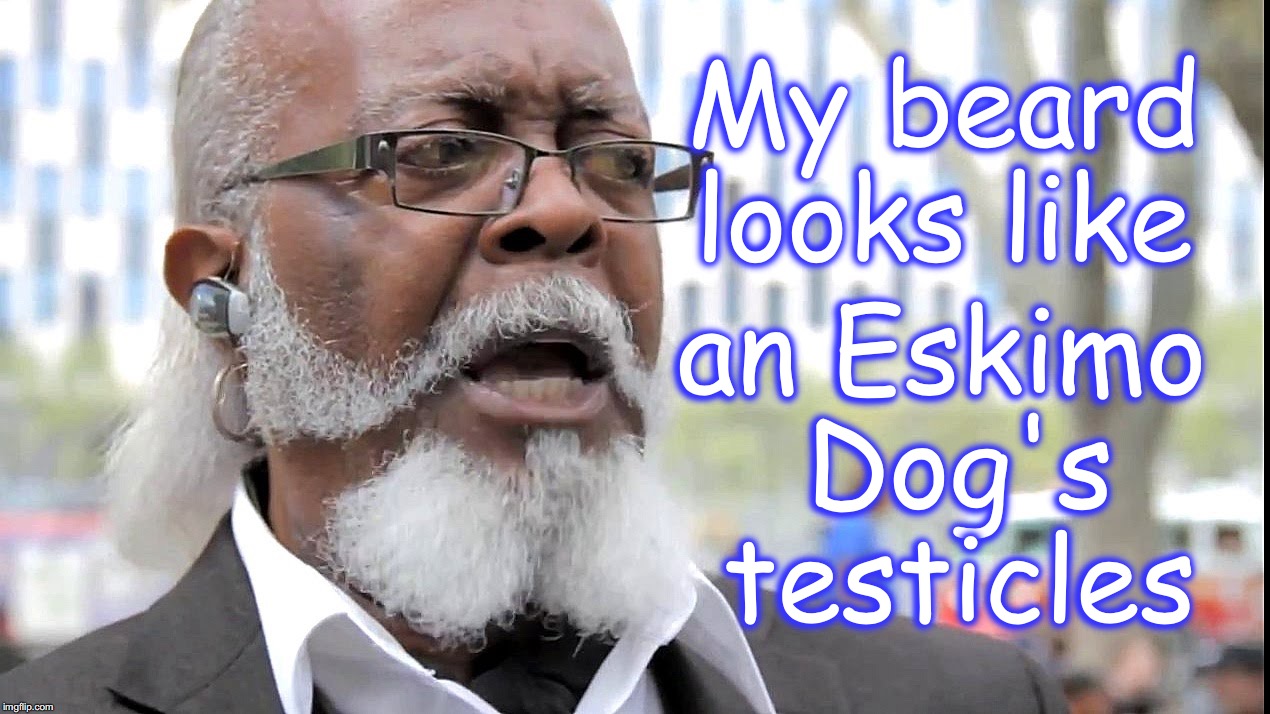 'pardon me, my eyes are up here!' | My beard looks like; an Eskimo Dog's testicles | image tagged in testicles,too damn high | made w/ Imgflip meme maker
