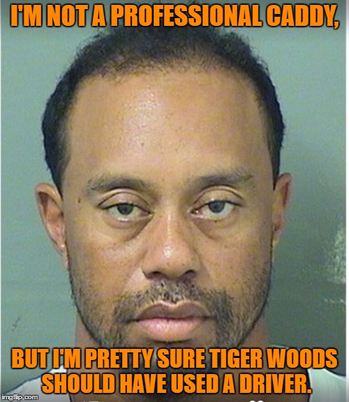 Tiger Woods Mug Shot  | I'M NOT A PROFESSIONAL CADDY, BUT I'M PRETTY SURE TIGER WOODS SHOULD HAVE USED A DRIVER. | image tagged in tiger woods mug shot | made w/ Imgflip meme maker