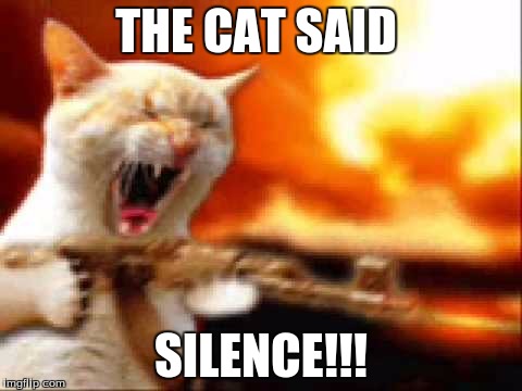 THE CAT SAID SILENCE!!! | made w/ Imgflip meme maker