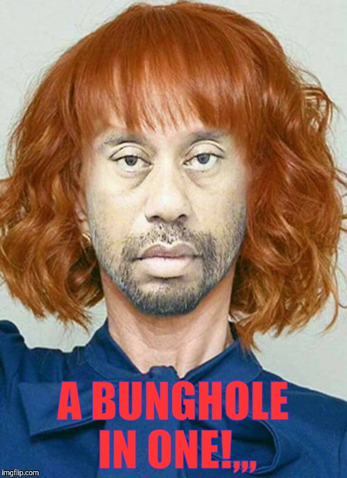 A-holes in one!!! | A BUNGHOLE IN ONE!,,, | image tagged in tiger woods mug shot,kathy griffin mug shot,orange is the new black,a-holes in one,bunghole mania | made w/ Imgflip meme maker