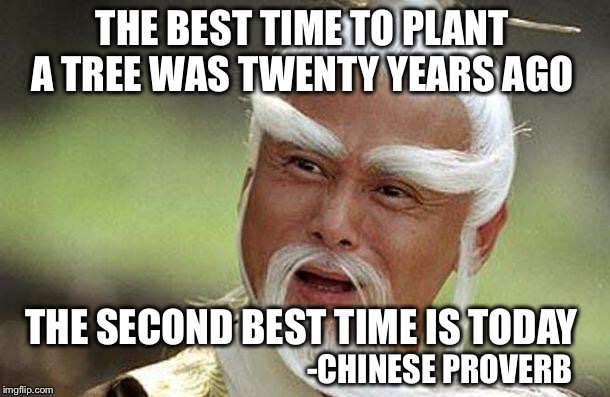If you're waiting for a sign, this is it... | THE BEST TIME TO PLANT A TREE WAS TWENTY YEARS AGO; THE SECOND BEST TIME IS TODAY; -CHINESE PROVERB | image tagged in confucious,proverb,now | made w/ Imgflip meme maker