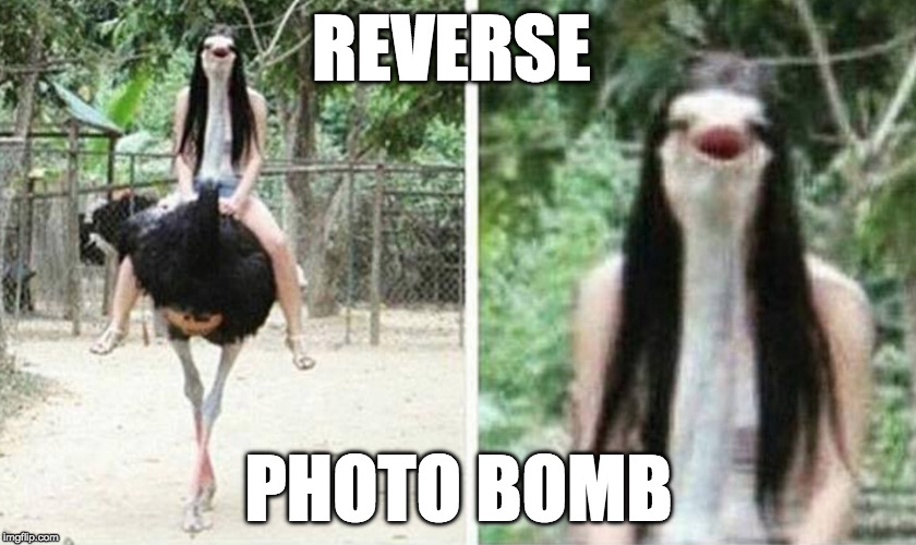 I find this funnier than I should | REVERSE; PHOTO BOMB | image tagged in photobomb,photo bomb,reverse | made w/ Imgflip meme maker