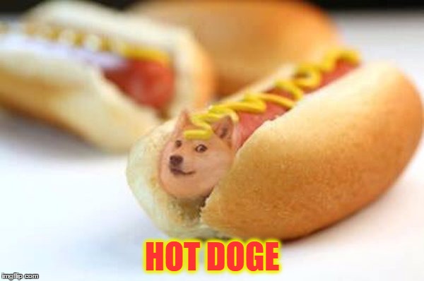 HOT DOGE | image tagged in funny meme,doge,hot dog | made w/ Imgflip meme maker