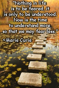 Stepping Bridge | “Nothing in life is to be feared, it is only to be understood. Now is the time to understand more, so that we may fear less.”; ~Marie Curie | image tagged in marie curie,understanding,fear,wisdom,knowledge,acceptance | made w/ Imgflip meme maker
