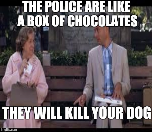 THE POLICE ARE LIKE A BOX OF CHOCOLATES THEY WILL KILL YOUR DOG | made w/ Imgflip meme maker