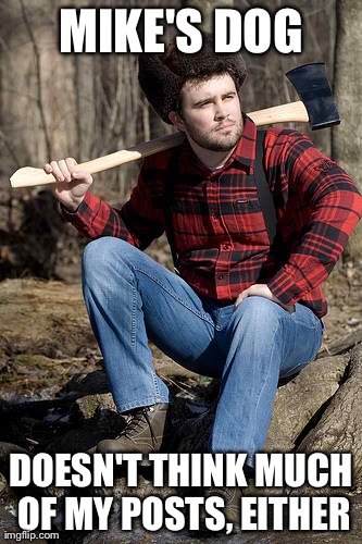 Solemn Lumberjack Meme | MIKE'S DOG DOESN'T THINK MUCH OF MY POSTS, EITHER | image tagged in memes,solemn lumberjack | made w/ Imgflip meme maker