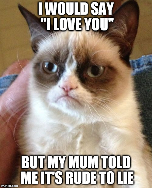 Grumpy Cat Meme | I WOULD SAY "I LOVE YOU"; BUT MY MUM TOLD ME IT'S RUDE TO LIE | image tagged in memes,grumpy cat | made w/ Imgflip meme maker