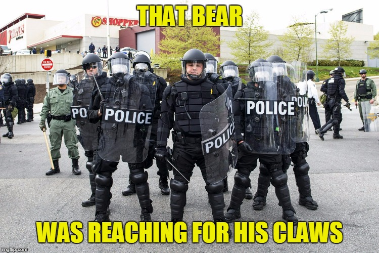 THAT BEAR WAS REACHING FOR HIS CLAWS | made w/ Imgflip meme maker