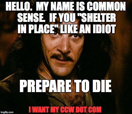 Inigo Montoya Meme | HELLO.  MY NAME IS COMMON SENSE.  IF YOU "SHELTER IN PLACE" LIKE AN IDIOT; PREPARE TO DIE; I WANT MY CCW DOT COM | image tagged in memes,inigo montoya | made w/ Imgflip meme maker