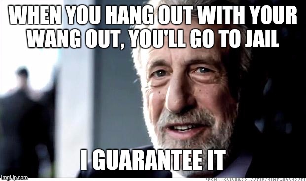 I Guarantee It | WHEN YOU HANG OUT WITH YOUR WANG OUT, YOU'LL GO TO JAIL; I GUARANTEE IT | image tagged in memes,i guarantee it | made w/ Imgflip meme maker