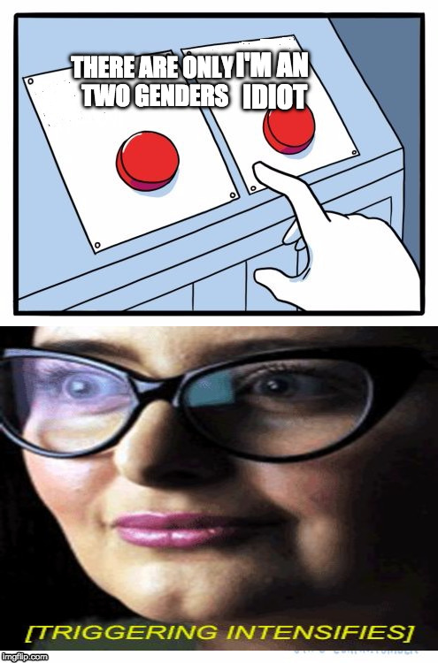 The hardest choice ever -cough cough- | I'M AN IDIOT; THERE ARE ONLY TWO GENDERS | image tagged in two buttons blank,memes,gender,there are only two genders,2 gender | made w/ Imgflip meme maker