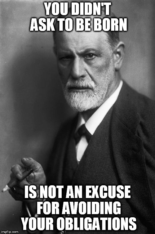 Sigmund Freud | YOU DIDN'T ASK TO BE BORN; IS NOT AN EXCUSE FOR AVOIDING YOUR OBLIGATIONS | image tagged in memes,sigmund freud | made w/ Imgflip meme maker