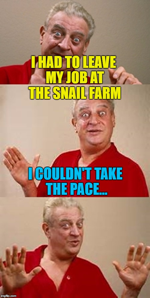 It did bring him out of his shell... :) | I HAD TO LEAVE MY JOB AT THE SNAIL FARM; I COULDN'T TAKE THE PACE... | image tagged in bad pun dangerfield,memes,snails,animals,farming,jobs | made w/ Imgflip meme maker
