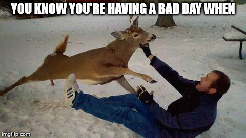 Deer of failure | YOU KNOW YOU'RE HAVING A BAD DAY WHEN | image tagged in deer of failure | made w/ Imgflip meme maker