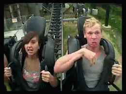 Roller Coaster Face