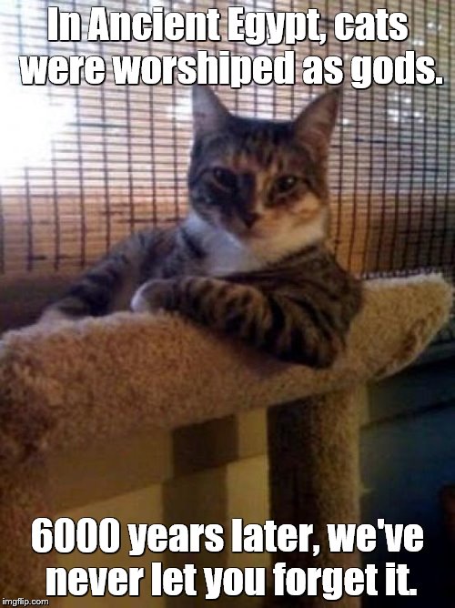 The Most Interesting Cat In The World | In Ancient Egypt, cats were worshiped as gods. 6000 years later, we've never let you forget it. | image tagged in memes,the most interesting cat in the world | made w/ Imgflip meme maker