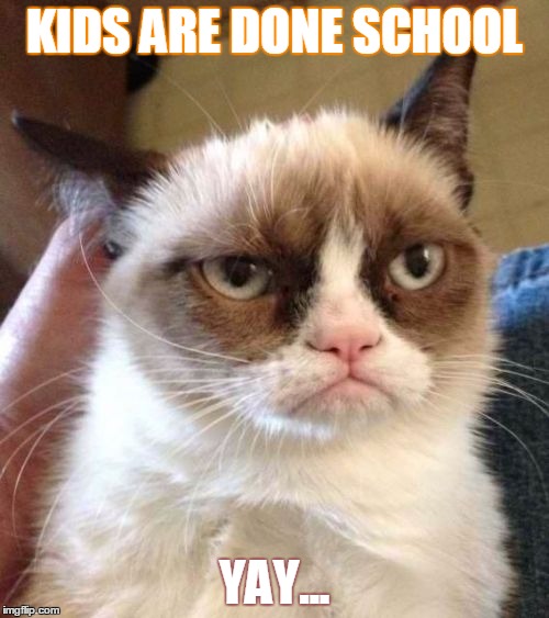 Grumpy Cat Reverse | KIDS ARE DONE SCHOOL; YAY... | image tagged in memes,grumpy cat reverse,grumpy cat | made w/ Imgflip meme maker