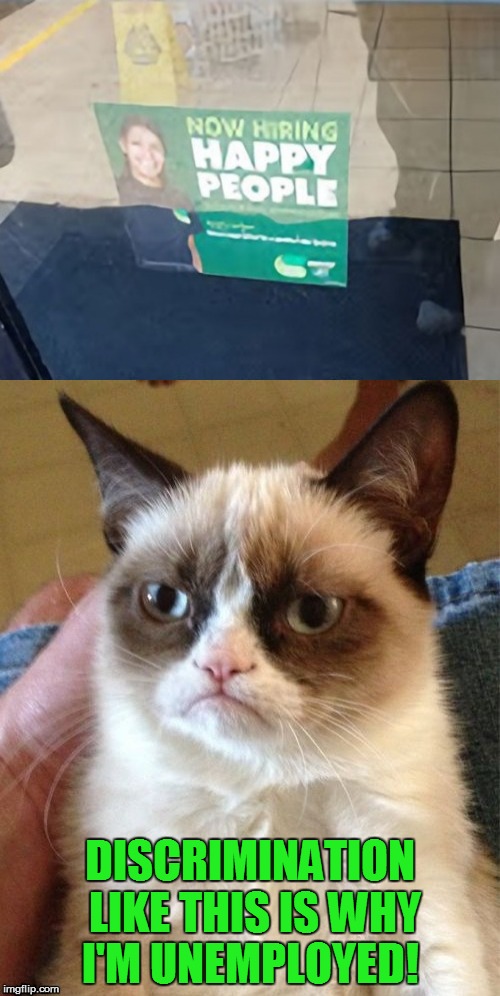 Grumpy Cat Looks For A Job! | DISCRIMINATION LIKE THIS IS WHY I'M UNEMPLOYED! | image tagged in memes,grumpy cat,happy people,funny memes,unemployed,hiring | made w/ Imgflip meme maker