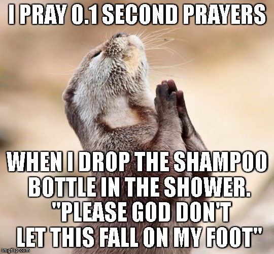 animal praying | I PRAY 0.1 SECOND PRAYERS; WHEN I DROP THE SHAMPOO BOTTLE IN THE SHOWER.  "PLEASE GOD DON'T LET THIS FALL ON MY FOOT" | image tagged in animal praying | made w/ Imgflip meme maker