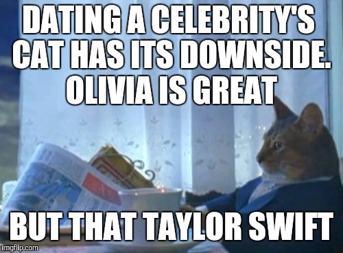 Hang in there kitty. What's the worst she could do? Write a song...uh oh. | DATING A CELEBRITY'S CAT HAS ITS DOWNSIDE. OLIVIA IS GREAT; BUT THAT TAYLOR SWIFT | image tagged in memes,i should buy a boat cat,funny,celebs,celebrity,pet humor | made w/ Imgflip meme maker
